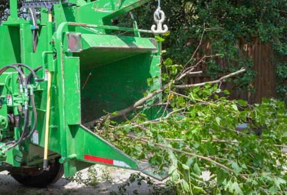 Tree removal Canberra